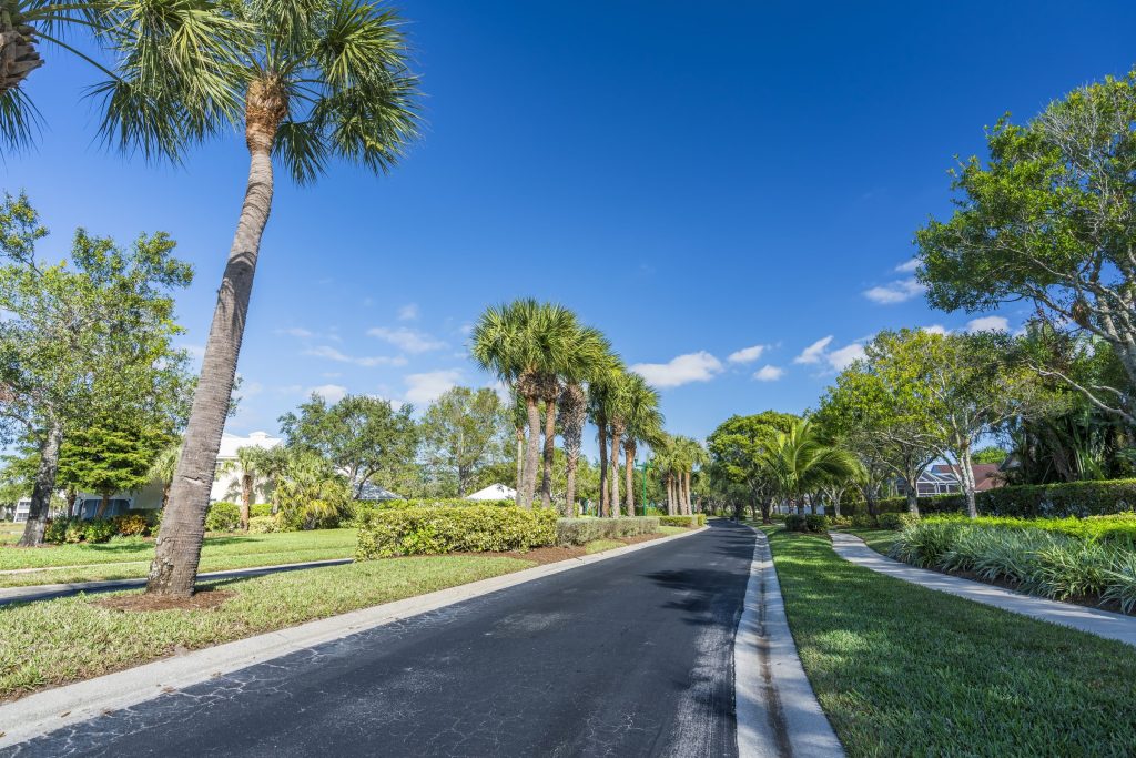 A road lined with tall palms running through a planted community