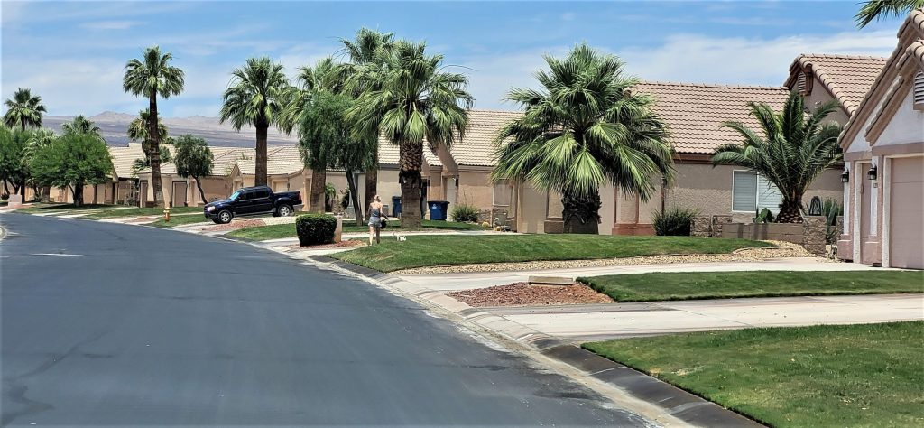 A street of single-story houses with palms and clipped lawns