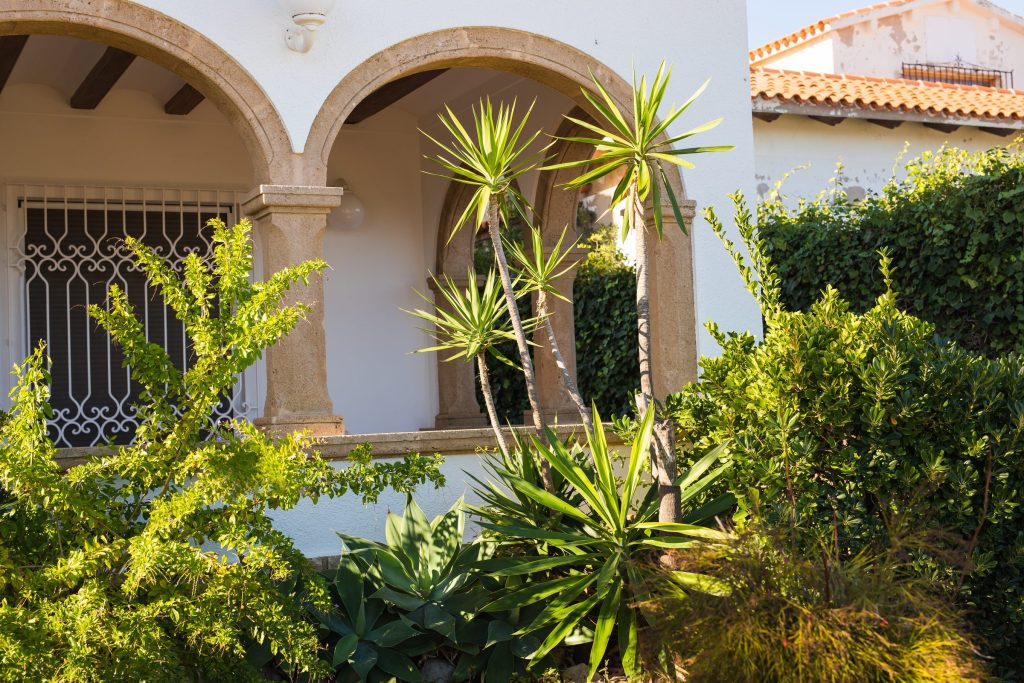 A shaded arcade of stone arches with palms planted against it